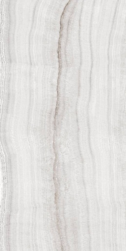 Skorpion Silver 60x120 - фото 1