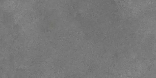 Silica Gris Sugar 60x120 - фото 1