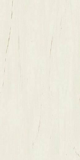 Marvel Stone Bianco Dolomite 60x120 - фото 1
