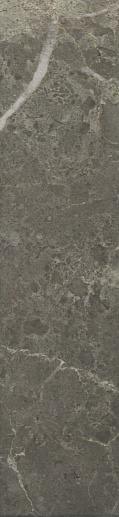 Roma Imperiale 7.5x30 - фото 1