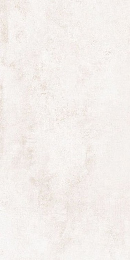 Pizarro White Matt 60x120 - фото 1
