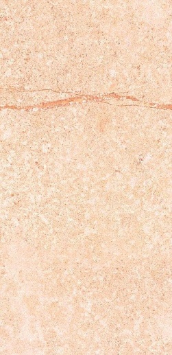 Shunut Beige G302/Бежевый Мат 60x120 - фото 1