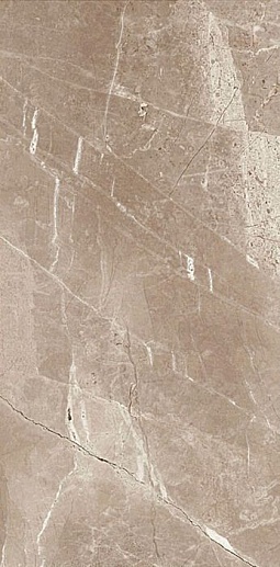 Kashmir Taupe 60x120 - фото 1