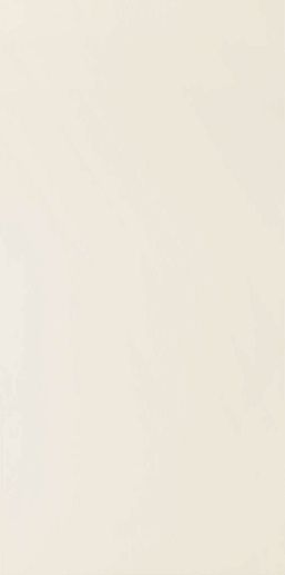Modern Pearl W Modern Pearl beige 29.8x59.8 - фото 1