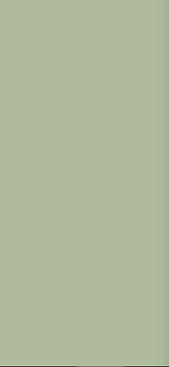 Art Deco Rivestimento Moss Green 12.5x25 - фото 1
