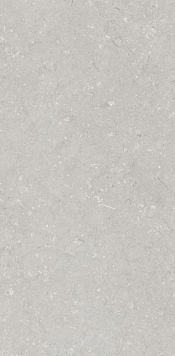 Shellstone Bianco 60x120 - фото 1