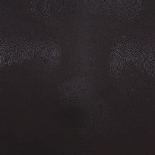 Zeus Black Diamond 120x120 - фото 1