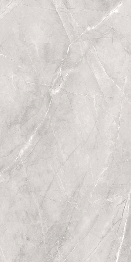 Silk 60x120 Armani Silver Matt - фото 1
