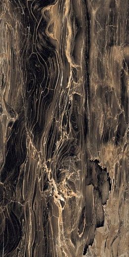 Baltic Brown High Gloss Rectificado 60x120 - фото 1