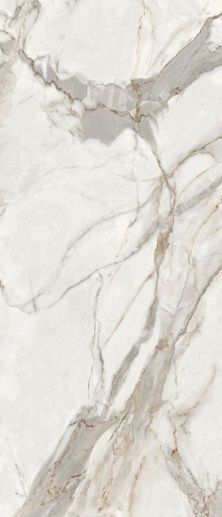 Titanium Alpe Di Siusi Polished 120x278 - фото 1