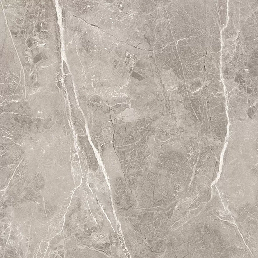 Obsidian Grey Полированный 60x60 - фото 1