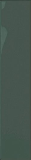 Plinto Green Gloss 10.7x54.2 - фото 1