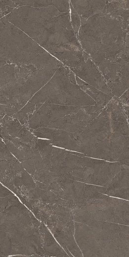 Imperiale Dark High Gloss Rectificado 60x120 - фото 1