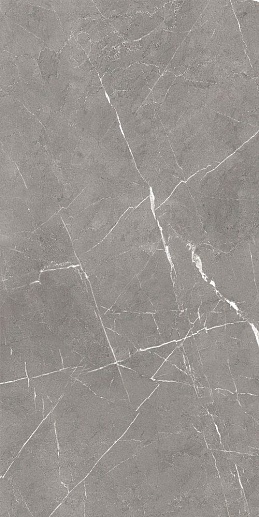 Encanto Серый 60x120 - фото 1