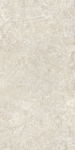 Alchemy Floor Earth As C R 60x120 - фото 1