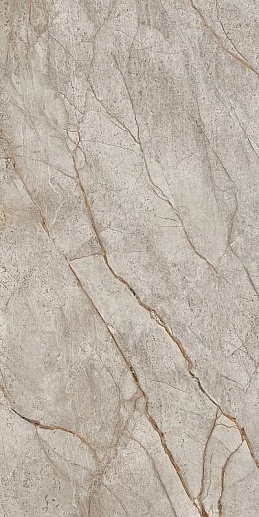 Empire Silver Root 60x120 - фото 1