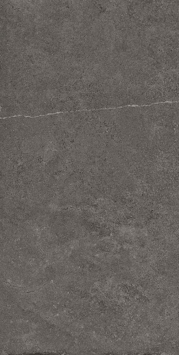 Stoncrete STCR 12DG AS RM 60x120 - фото 1