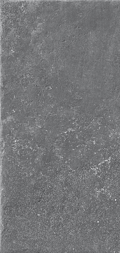 Chateau Noir Naturale 30x60 - фото 1