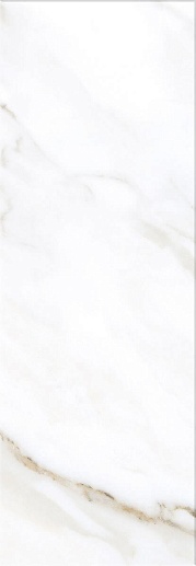 Calacatta Light 24.2x70 - фото 1