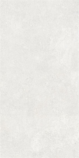 Newcon Белый Матовый 60x120 - фото 1