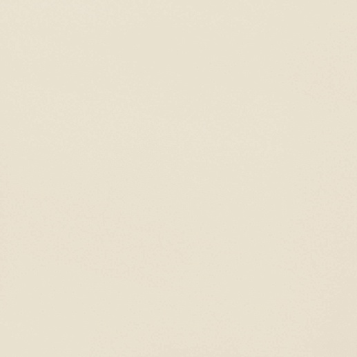 Modern Pearl P Modern Pearl 59.8x59.8 - фото 1