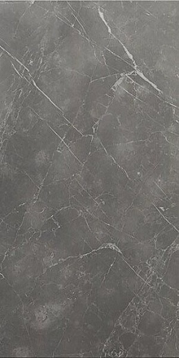 Cromat Piave Argent 60x120 - фото 1