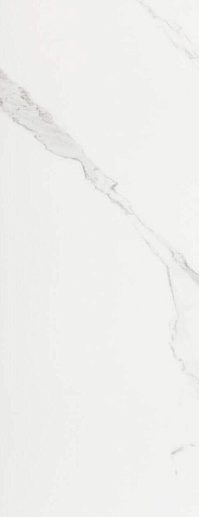 Calacatta Mate SlimRect White 24.2x64.2 - фото 1