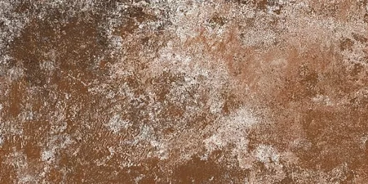 Ariel Bronze 60x120 - фото 1