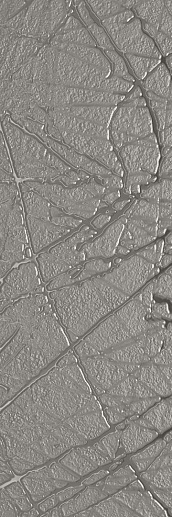 Reflet Soiree Rf 01 Sketch 20x60 - фото 1
