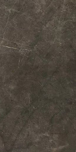 Montecoto Marron Brillo 60x120 - фото 1
