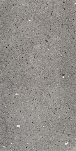 Ego Grigio Scuro Nat. Rett 60x30 - фото 1