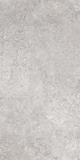 Colosseo Grigio 61x122.2 - фото 1