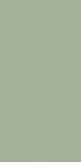 Feelings Green Rekt. 29.8x59.8 - фото 1