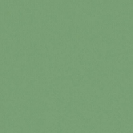 Pixel41 Frog 11.5x11.5 - фото 1