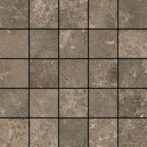 Червиния Земля 28x28 - фото 1