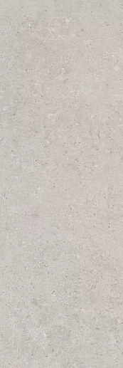 14053R Риккарди серый светлый матовый обрезной 40x120 - фото 1