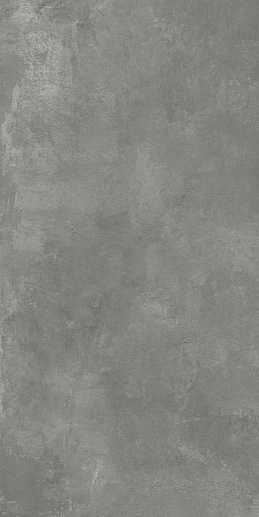 Nord Gris Серый 60x120 - фото 1