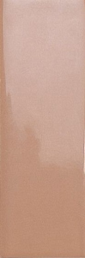 Bits Cider Gloss 3.7x11.6 - фото 1