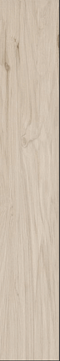 Koru Apple 20x120 - фото 1