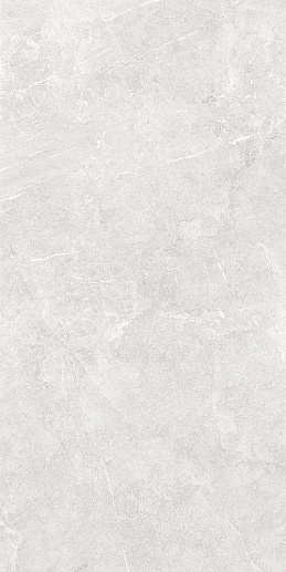 Bliss Серый 60x120 - фото 1