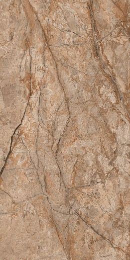 Fenix Brown 60x120 - фото 1