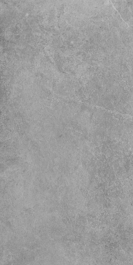 Tacoma Silver 59.7x119.7 - фото 1