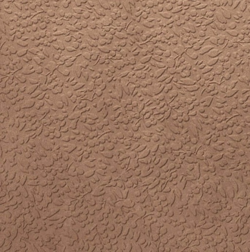 Argillae Nisus Terra 60x60 - фото 1