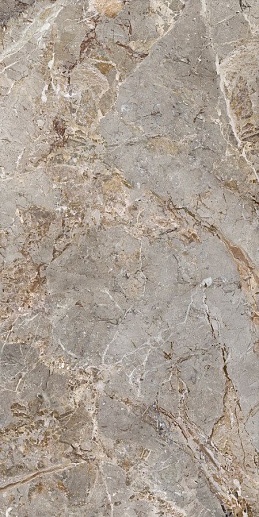 Breccia Argentum Naturale 120x280 - фото 1