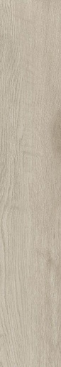 Canus Oak 20x120 - фото 1