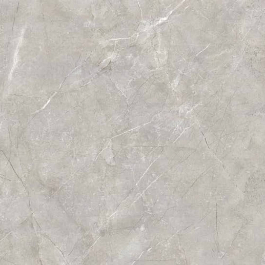 Quanta Grey NS6NTT9022 60x60 - фото 1