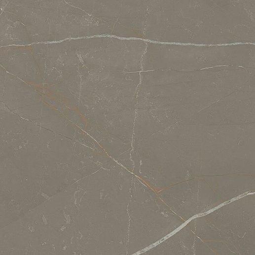 Linearstone Taupe Gres 59.8x59.8 - фото 1