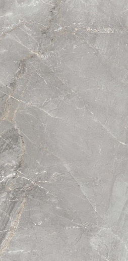 Charme Grey 60x120 - фото 1
