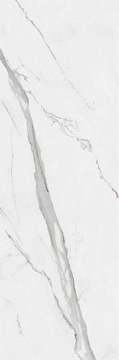 Cellini Mate Rect. 33.3x100 - фото 1