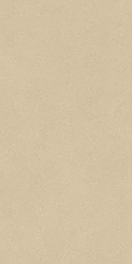 Boost Natural Pro Sand Matte 60x120 - фото 1